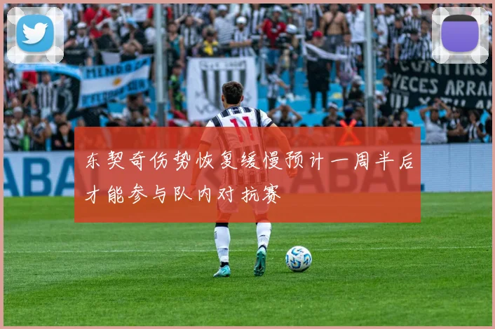 东契奇伤势恢复缓慢预计一周半后才能参与队内对抗赛
