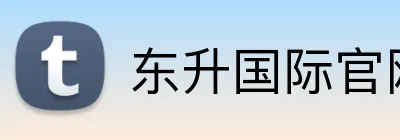 东升国际官网 logo
